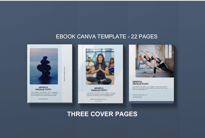 Mindful productivity